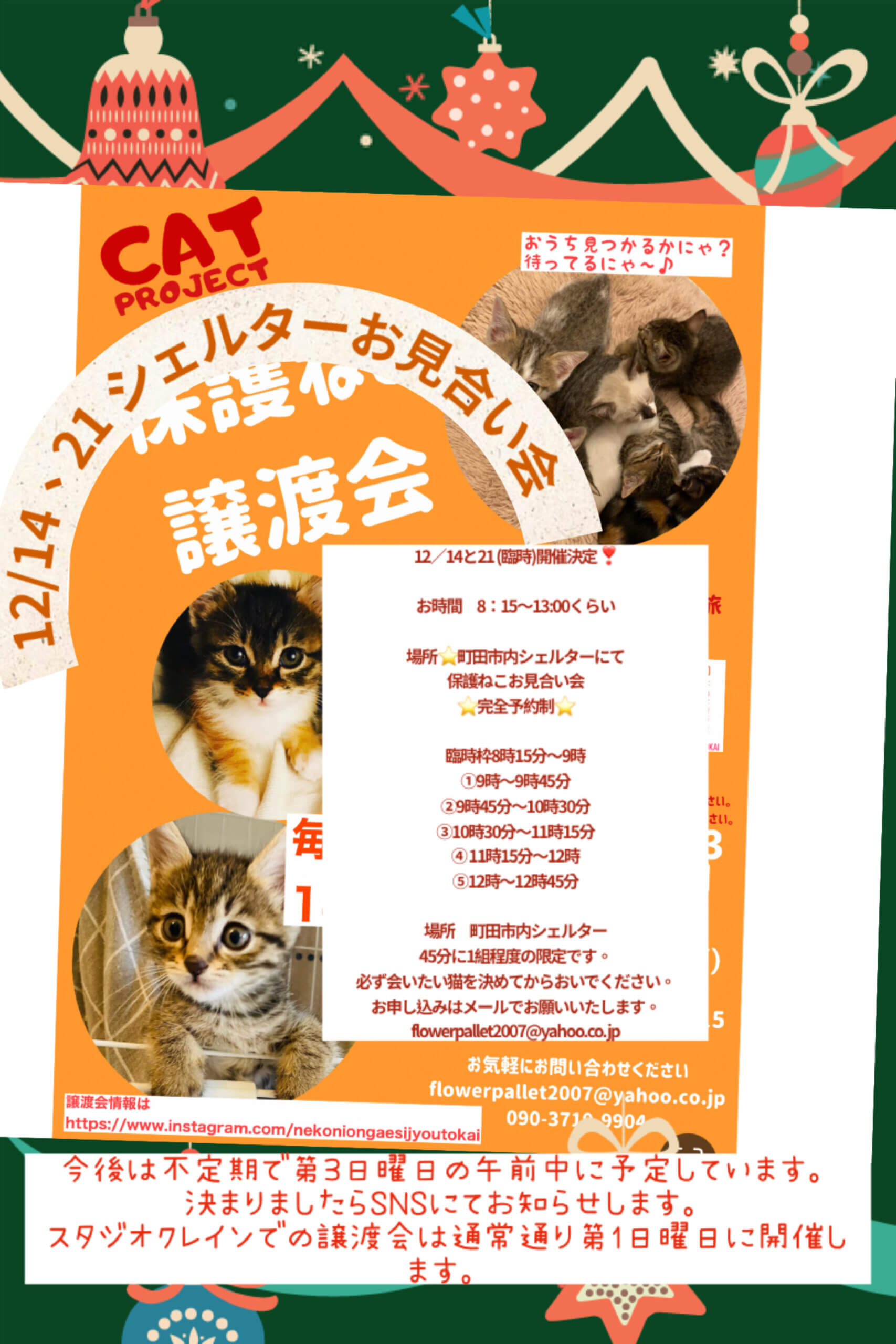 HappyCats〜ねこに恩返し〜保護ねこシェルターお見合い会