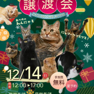 ふれあえる譲渡会 in 大阪市 クリスマスバージョン!