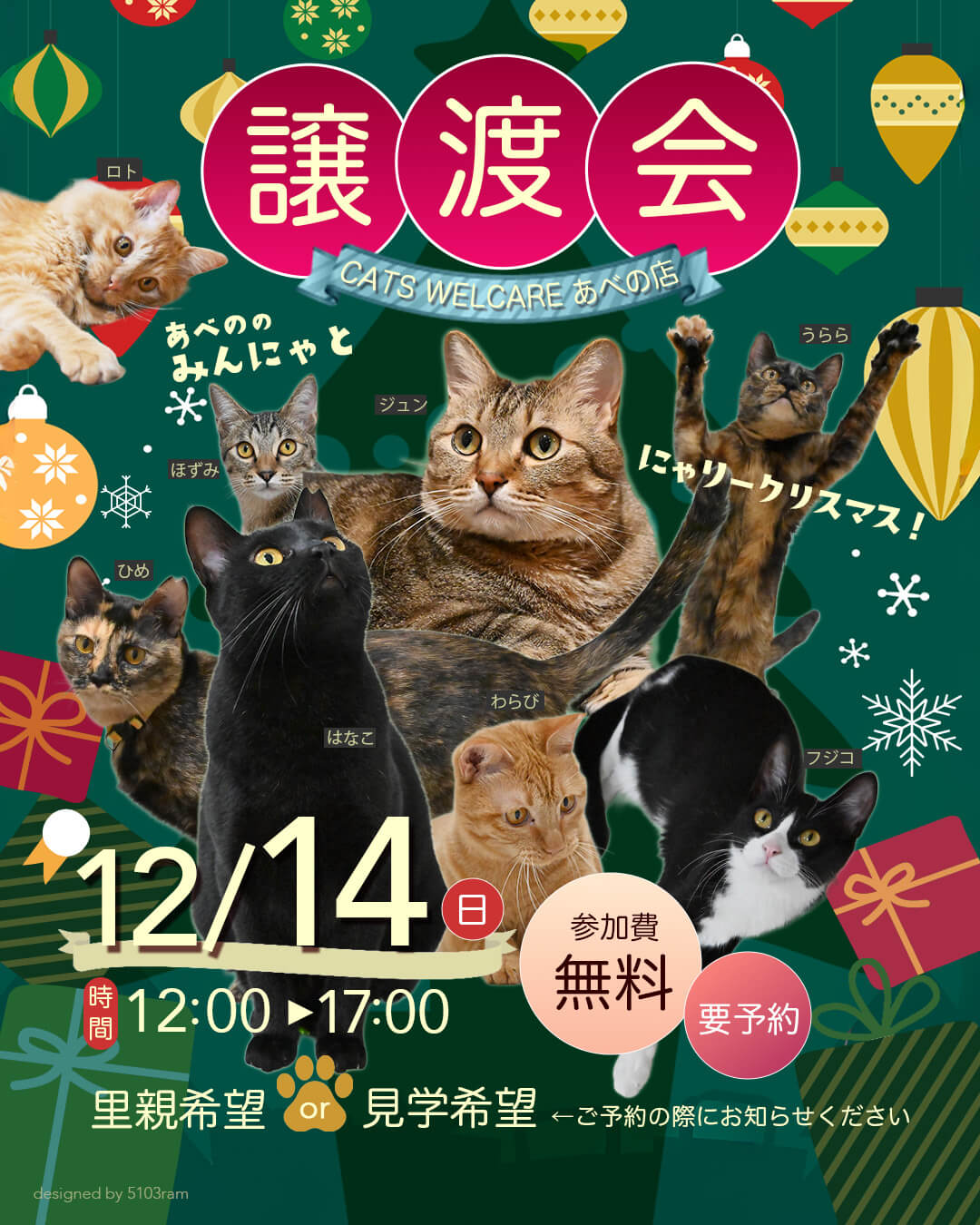 ふれあえる譲渡会 in 大阪市　クリスマスバージョン！