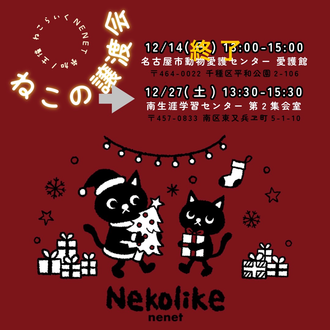 ★〓★〓★ねこの譲渡会★〓★〓★
