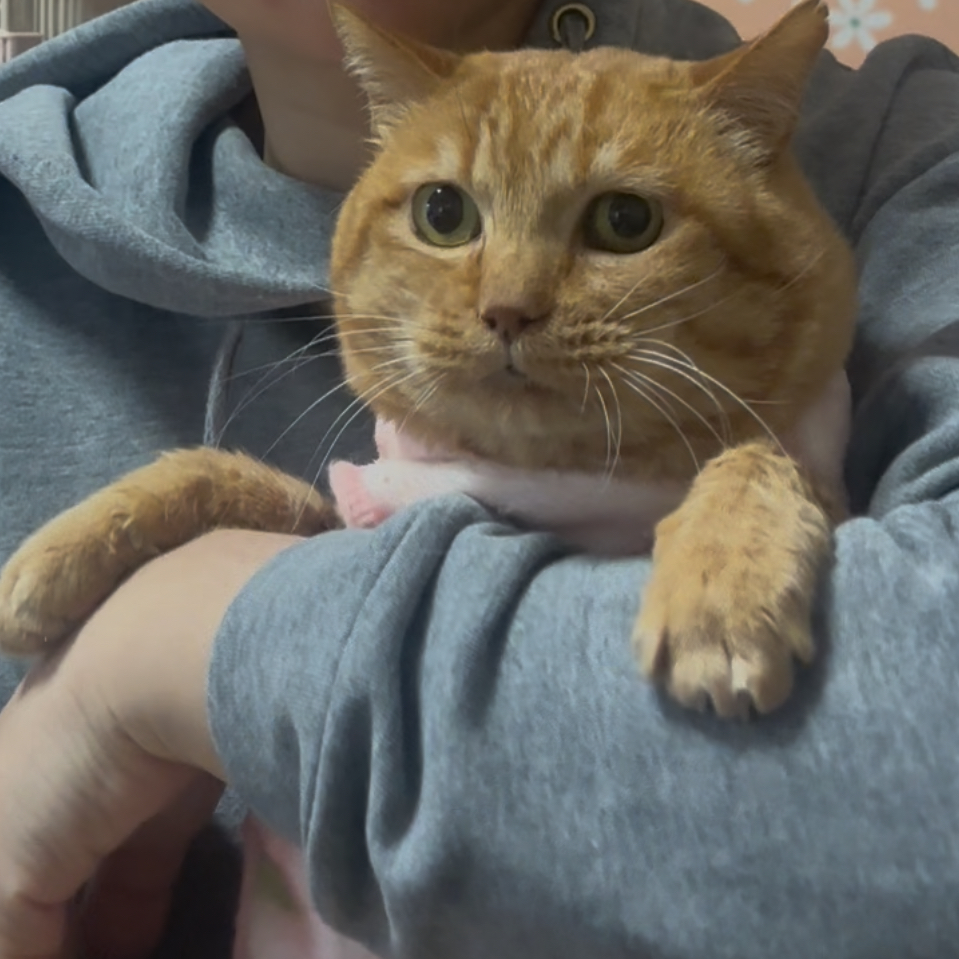 エイズ陽性の小柄なおじちゃん