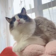 第2の人生を幸せに