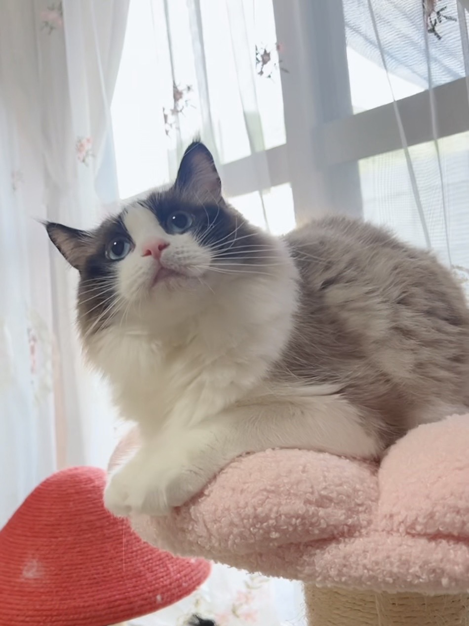 第2の人生を幸せに