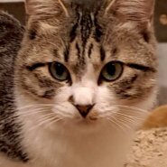 可愛い♡あおいちゃん