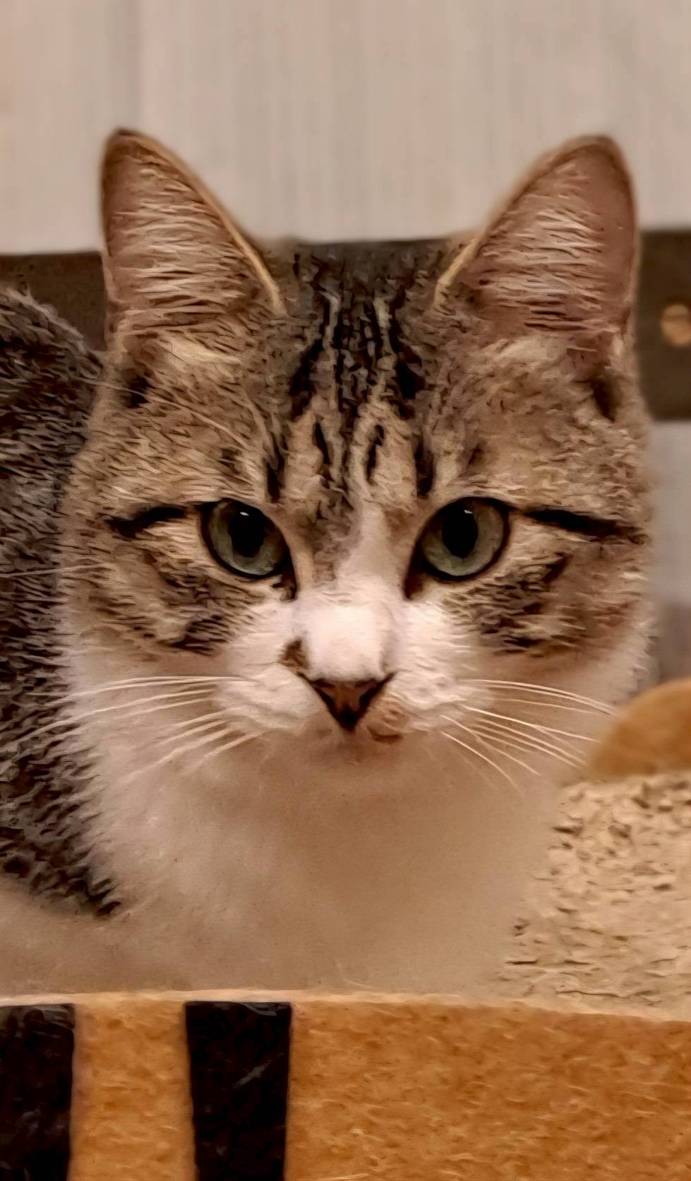 可愛い♡あおいちゃん