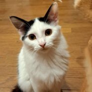 農機具小屋で生まれた ろんくん