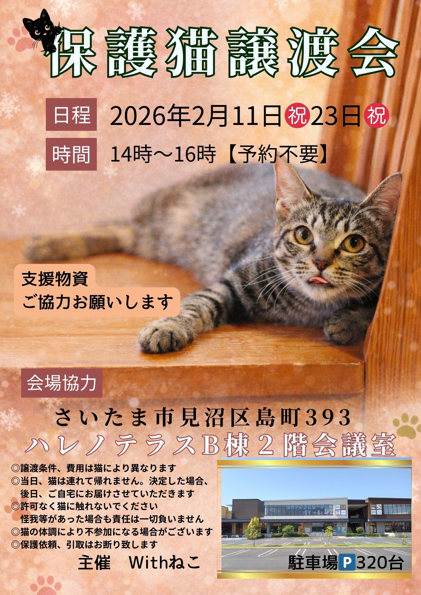 【さいたま市見沼区】2/11㊗ハレノテラス保護猫譲渡会