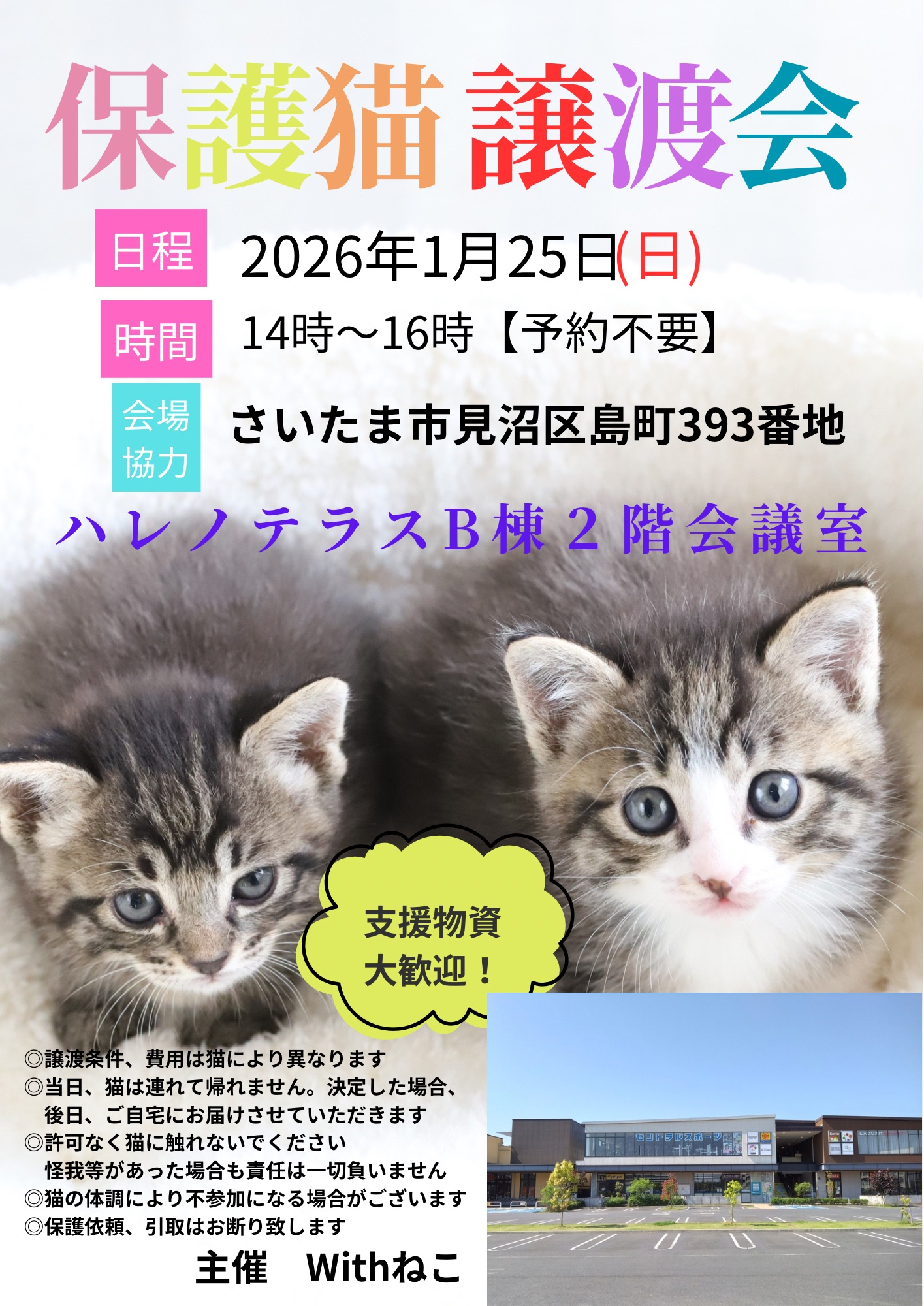 【さいたま市見沼区】1/25(日)ハレノテラス保護猫譲渡会