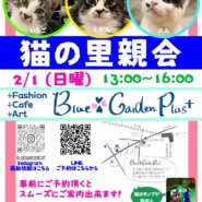 猫の里親会IN世田谷区 下高井戸駅