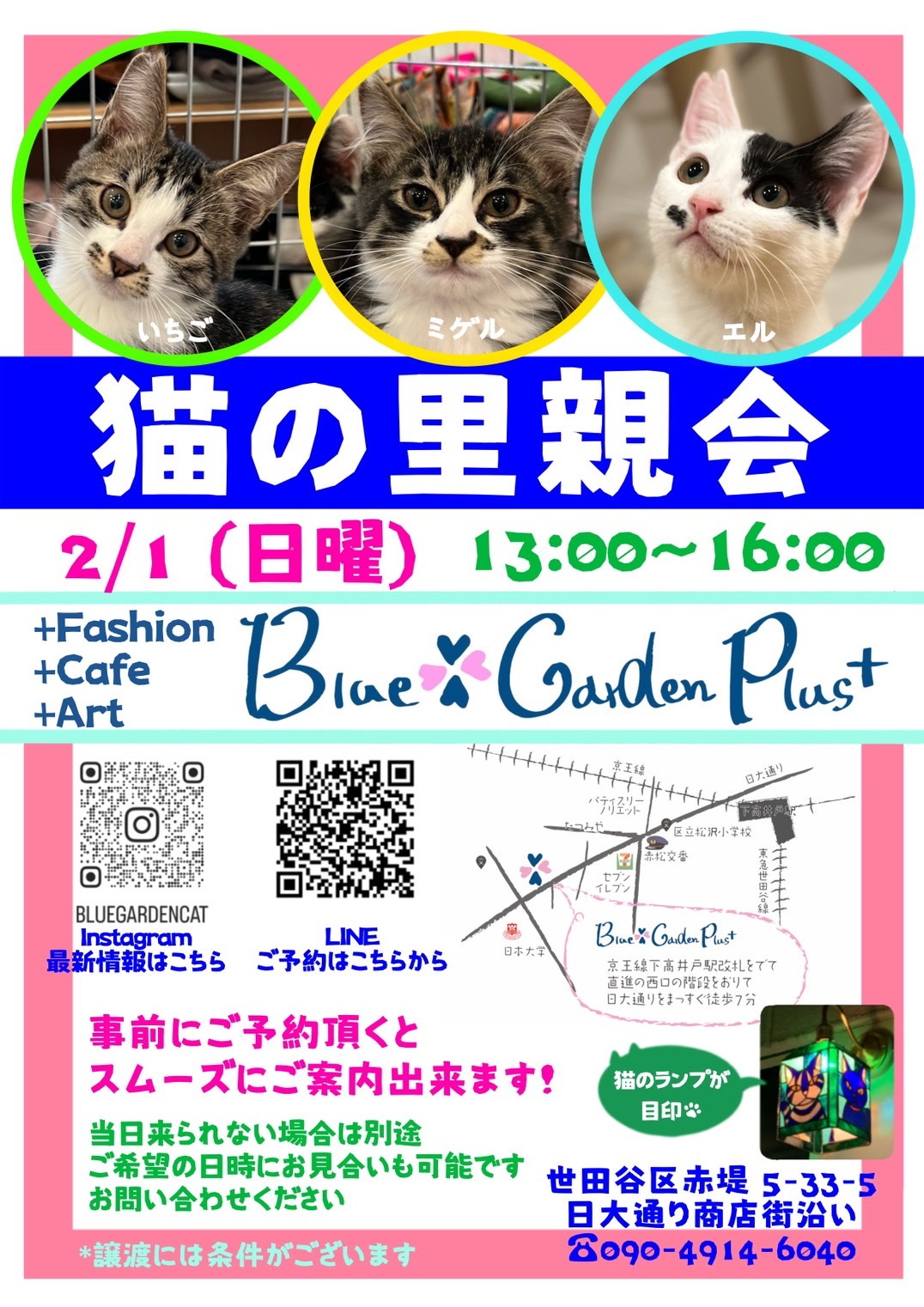 猫の里親会IN世田谷区 下高井戸駅
