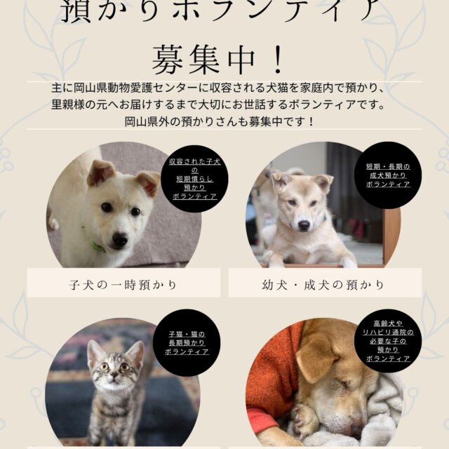 預かりボランティア募集中！