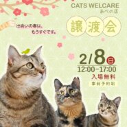 ふれあえる譲渡会 in大阪市