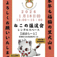 犬山市 保護猫_譲渡会🐱