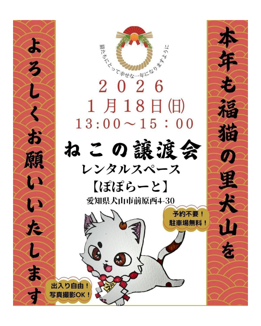 犬山市 保護猫_譲渡会🐱