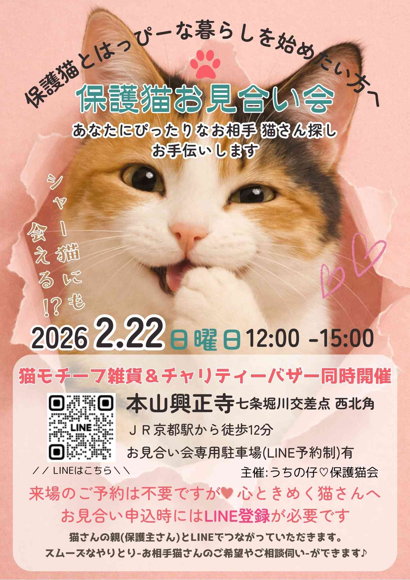 2026年2月22日(日)12：00-