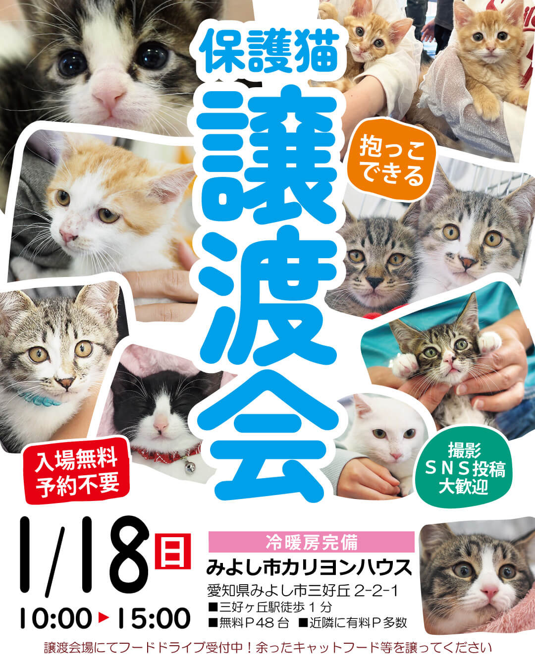 ゆっくり抱っこできる譲渡会★みよし市