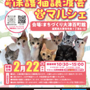 百町保護猫譲渡会＆マルシェ