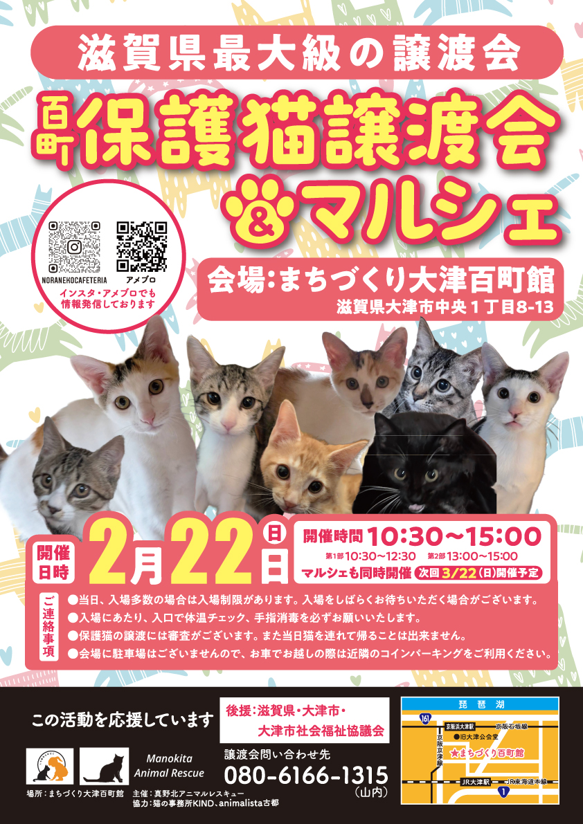 百町保護猫譲渡会＆マルシェ