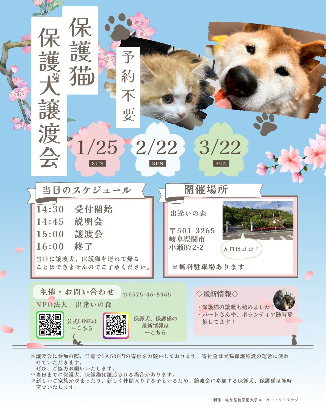 岐阜県関市の保護犬猫譲渡会🐾