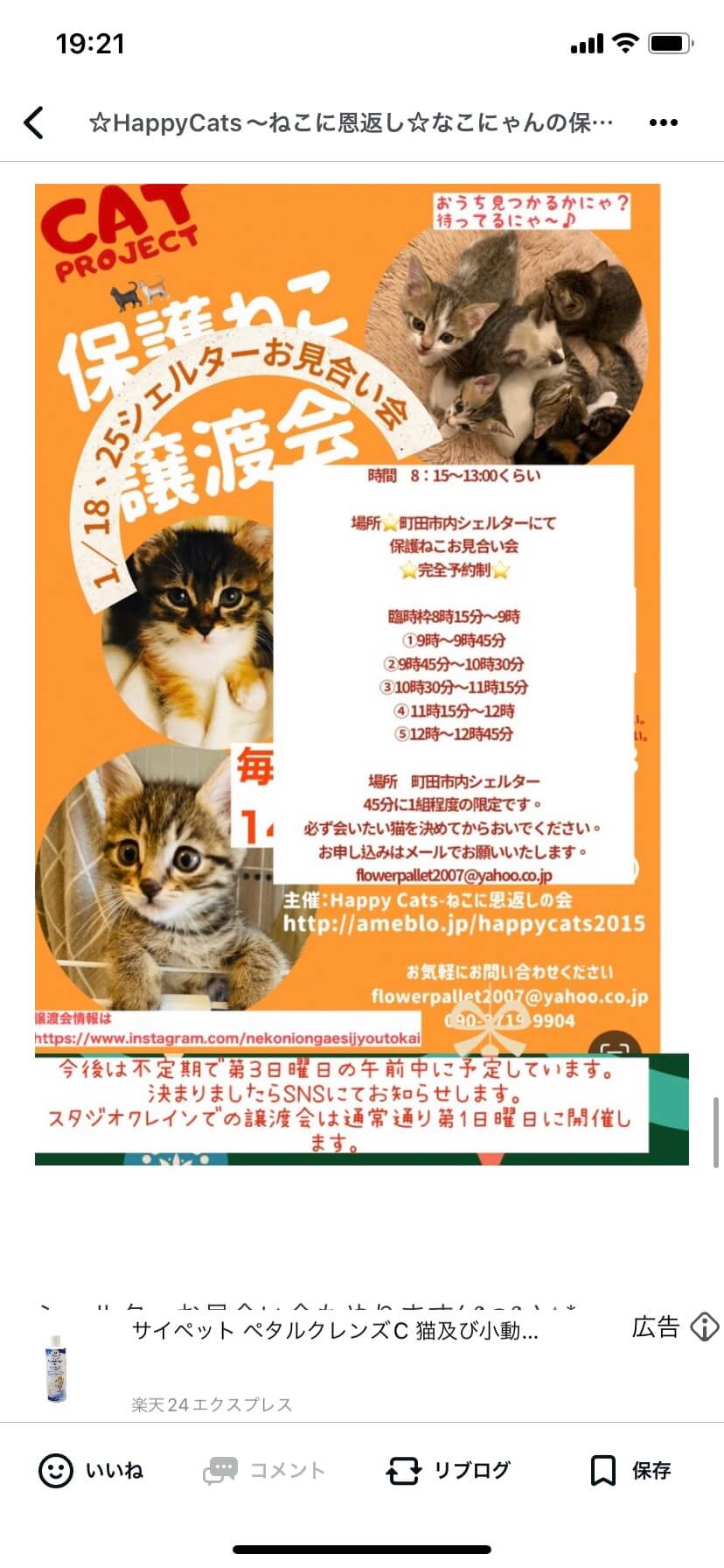 HappyCats〜ねこに恩返し〜保護ねこシェルターお見合い会