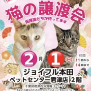 【君津市】保護猫の譲渡会