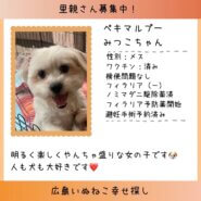 みつこちゃん、