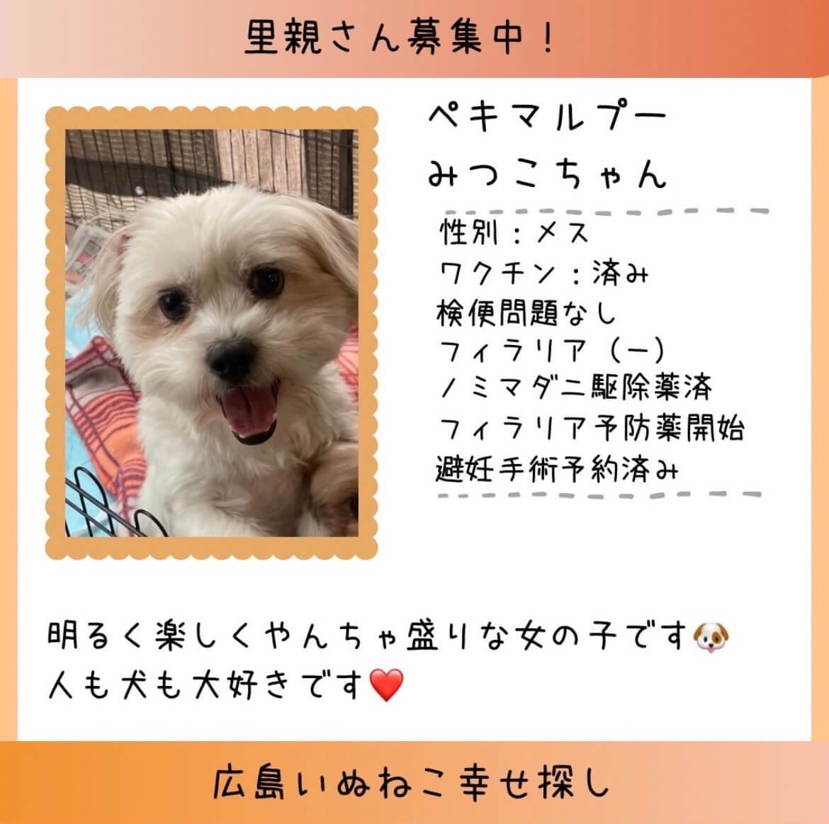 みつこちゃん、