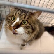 人懐こさ満点のモップくん