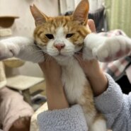 人が大好き！ポンくん