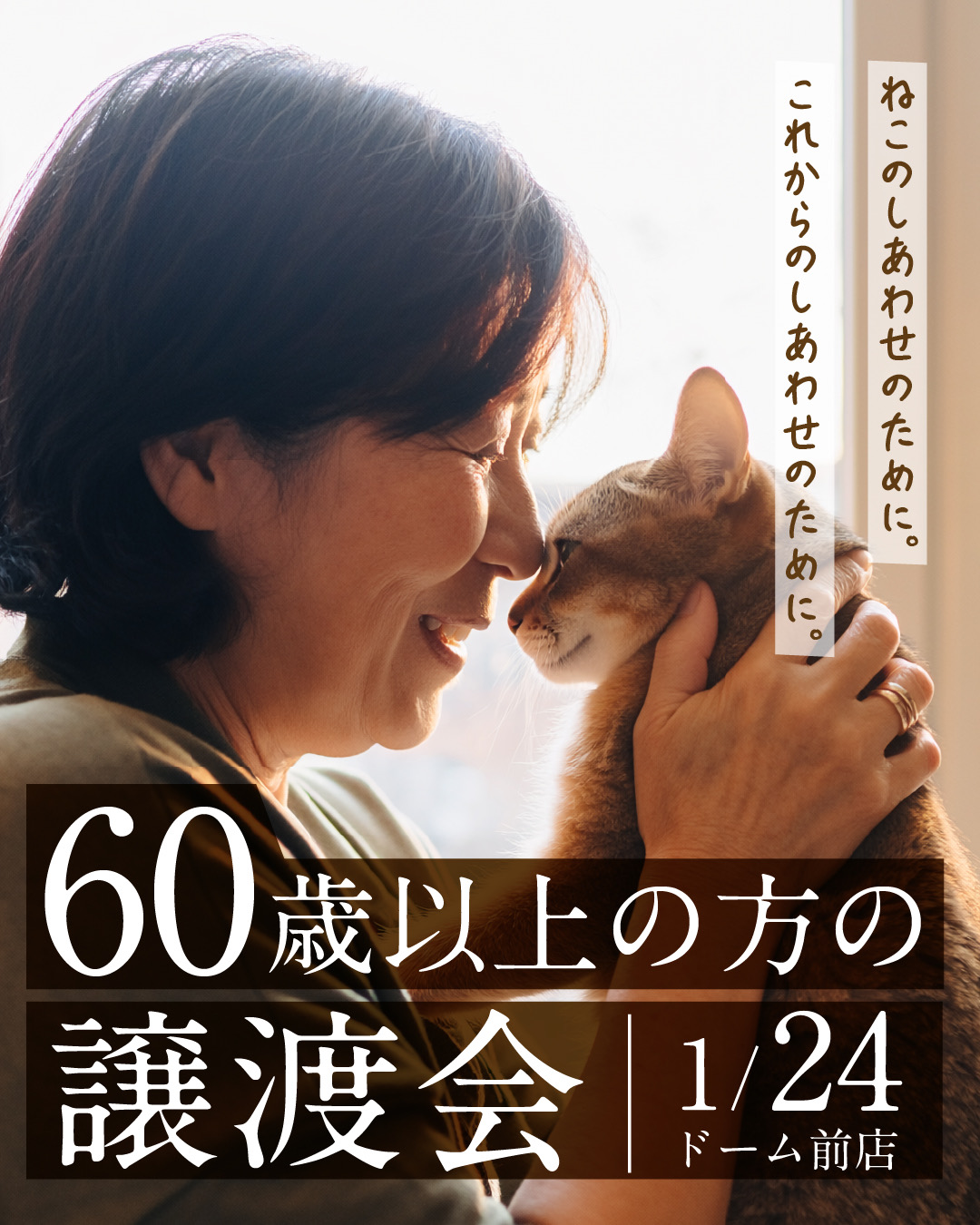 60歳以上の方の譲渡会 in 大阪