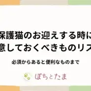 保護猫を迎える前に揃えるもの完全リスト【最低限+あると便利】