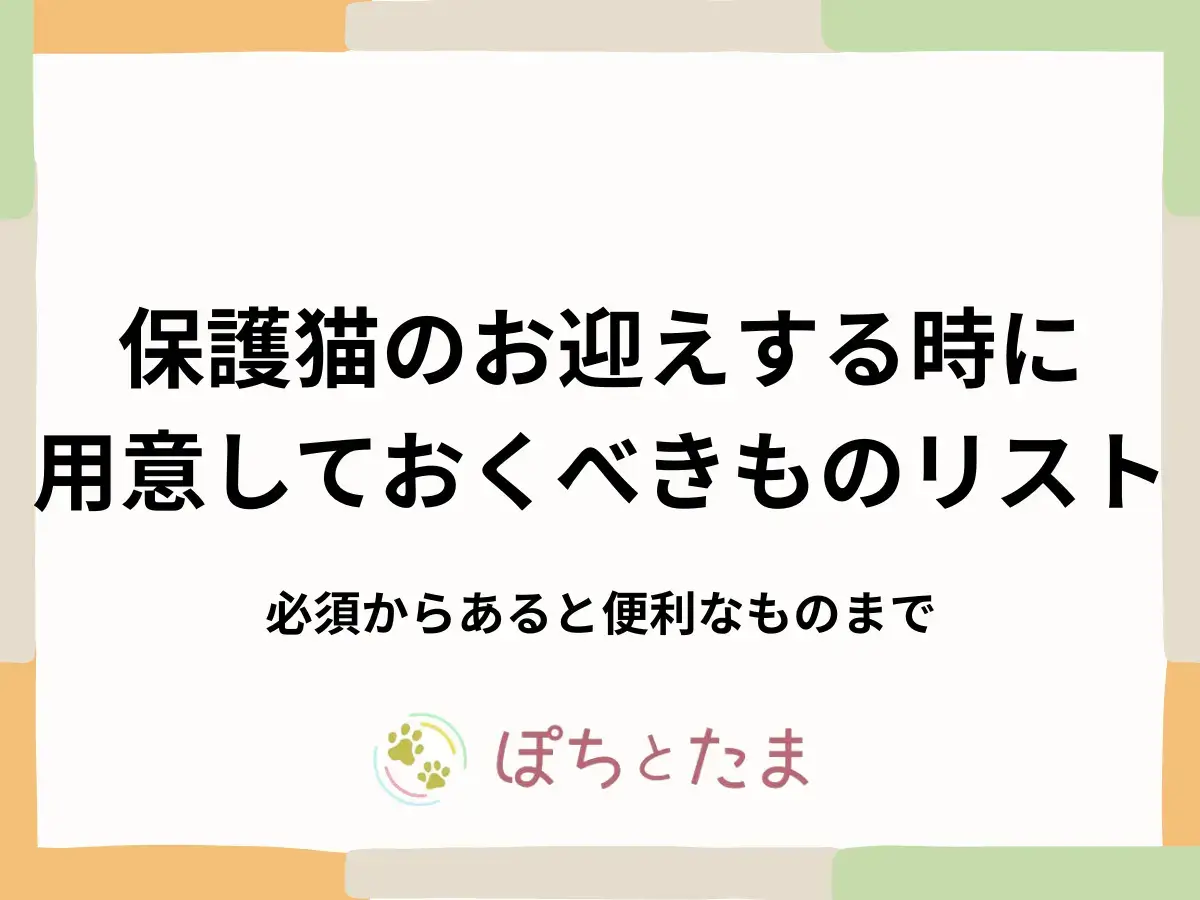 保護猫を迎える前に揃えるもの完全リスト【最低限＋あると便利】