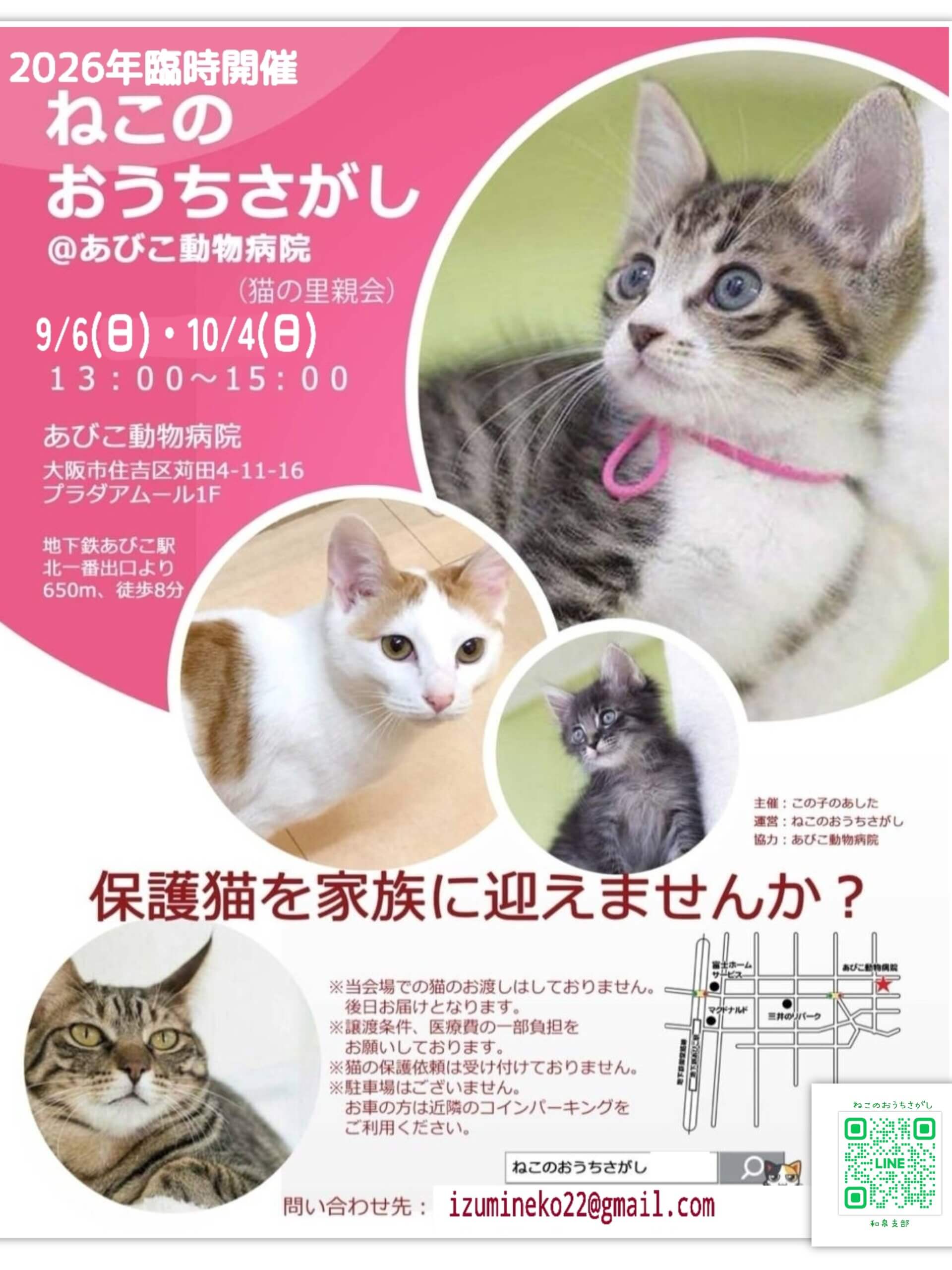 🚨【９・１０月限定】あびこ動物病院での譲渡会が復活！🚨