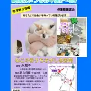 大阪・忠岡|蚊帳で保護猫とふれあえる譲渡会