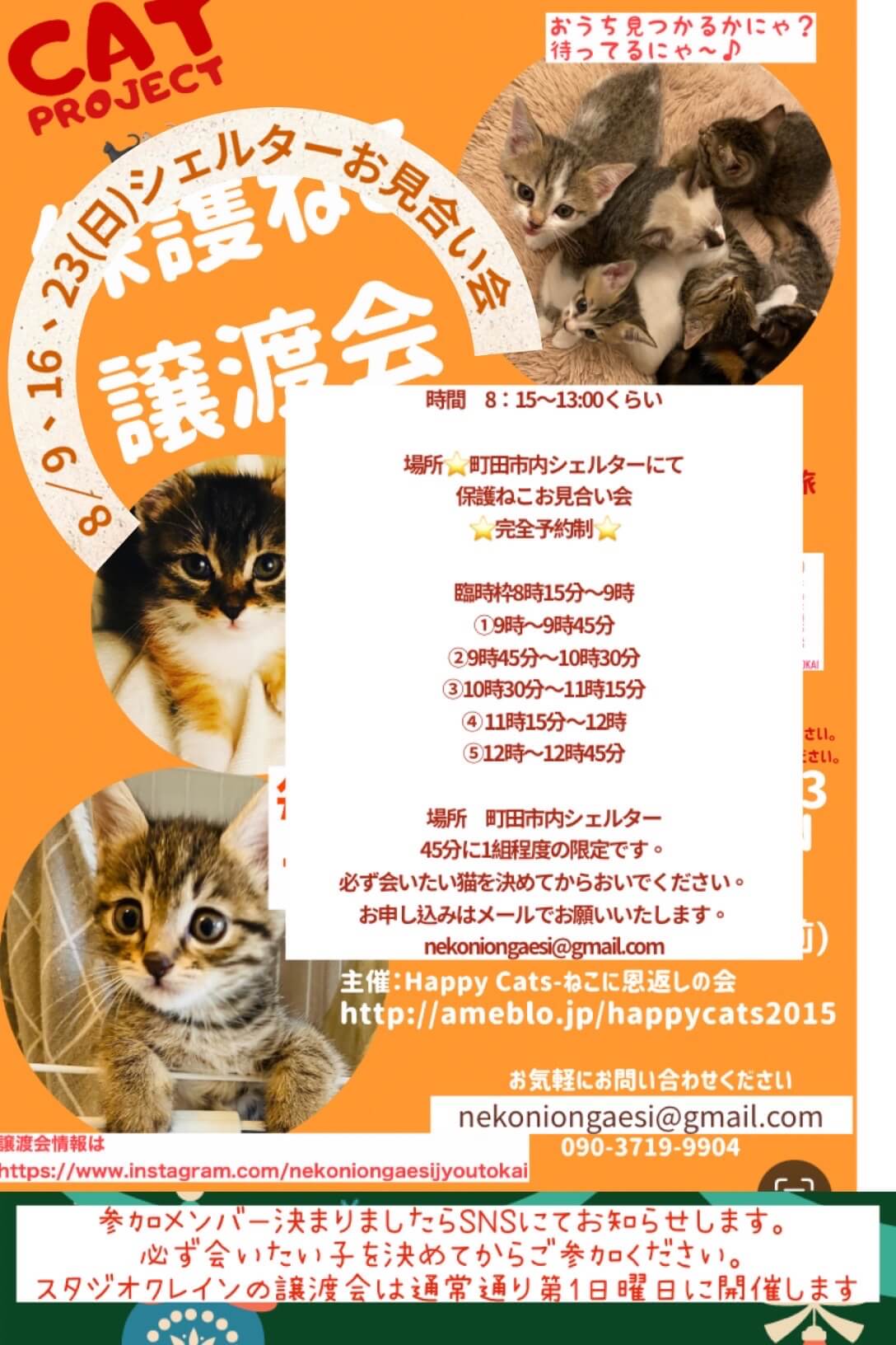 HappyCats〜ねこに恩返し〜保護ねこシェルターお見合い会