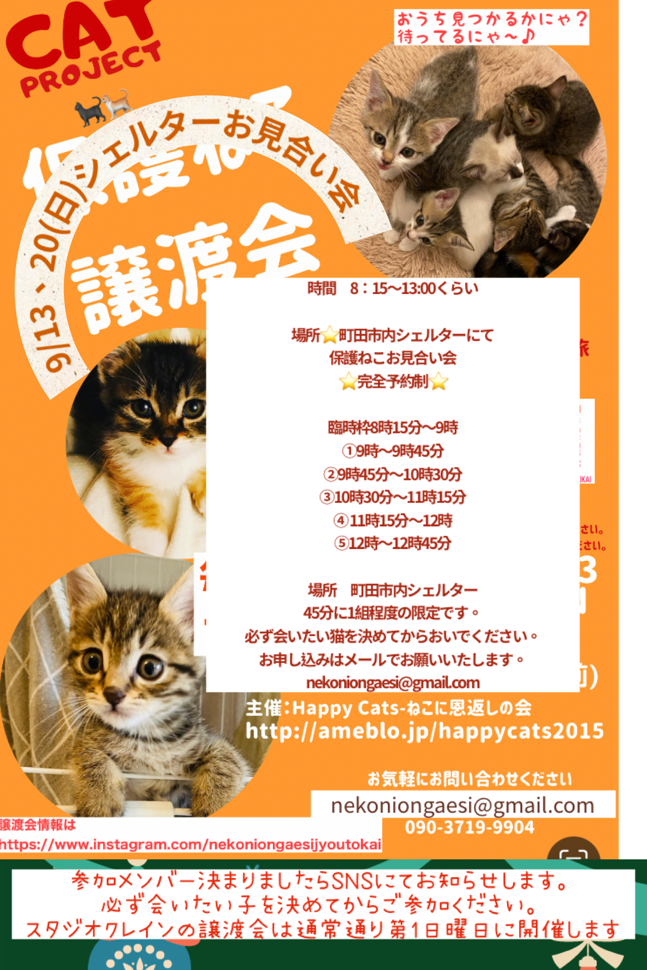 HappyCats〜ねこに恩返し〜保護ねこシェルターお見合い会