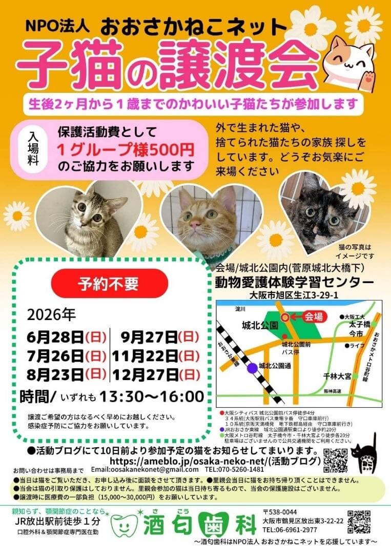 NPO法人　おおさかねこネット　子猫の里親会