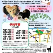 NPO法人　おおさかねこネット　猫の里親会