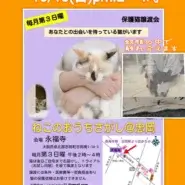 大阪・忠岡|蚊帳で保護猫とふれあえる譲渡会