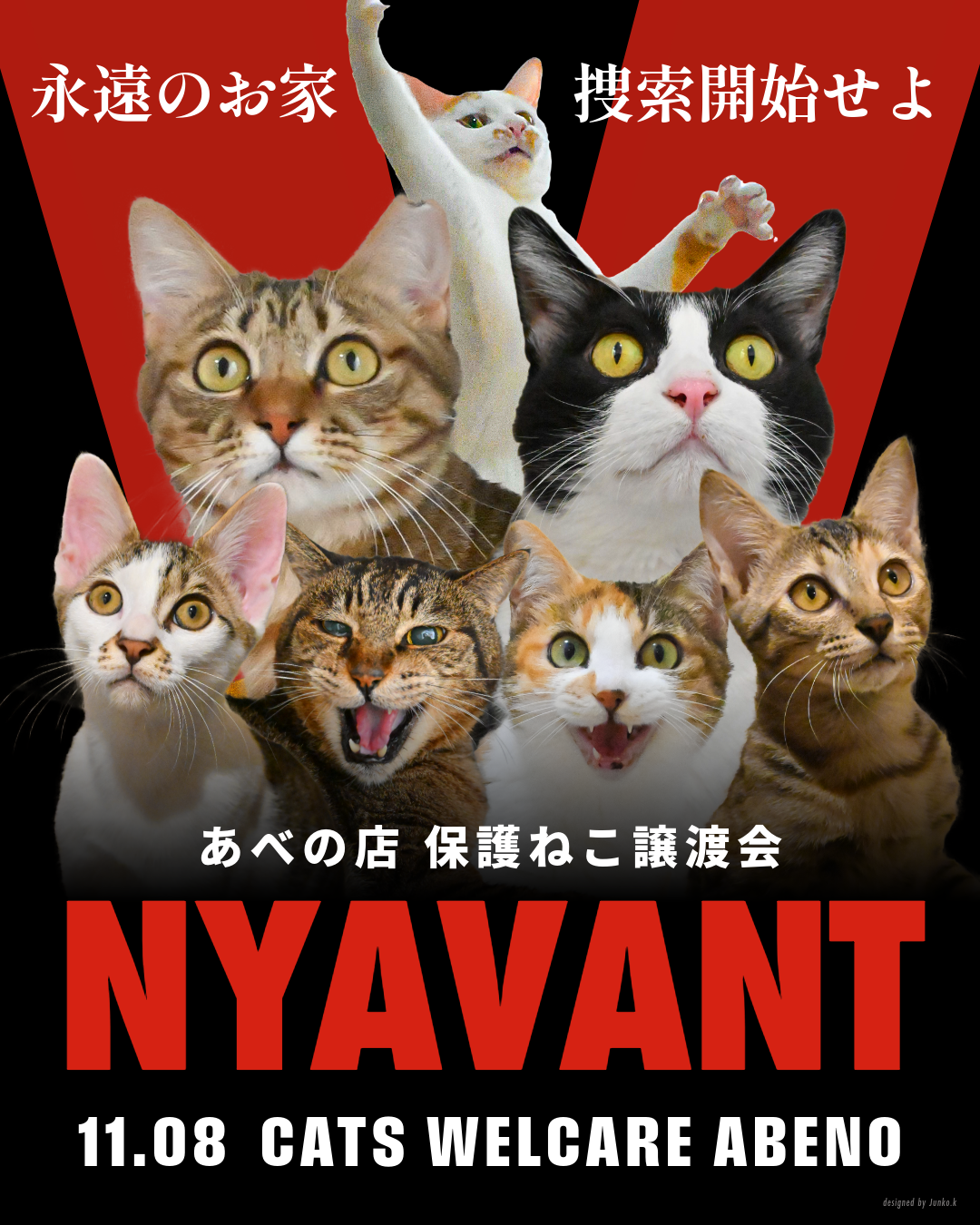 あべの店 保護ねこ譲渡会　”NYAVANT”