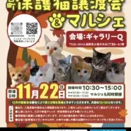 百町保護猫譲渡会&マルシェ