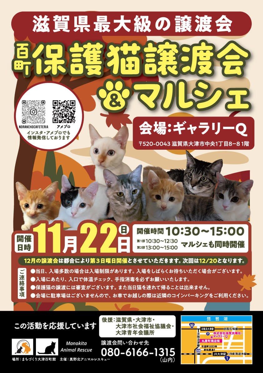 百町保護猫譲渡会＆マルシェ