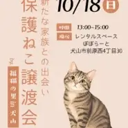 保護ねこ譲渡会