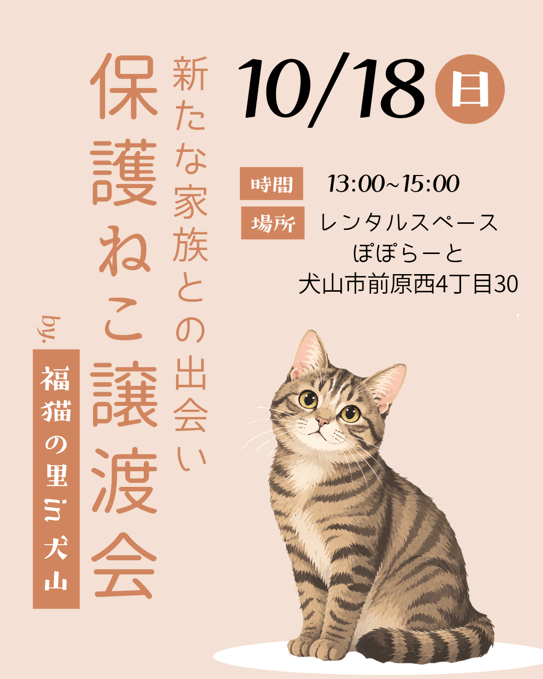保護ねこ譲渡会