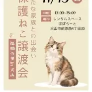 保護ねこ譲渡会 in 犬山