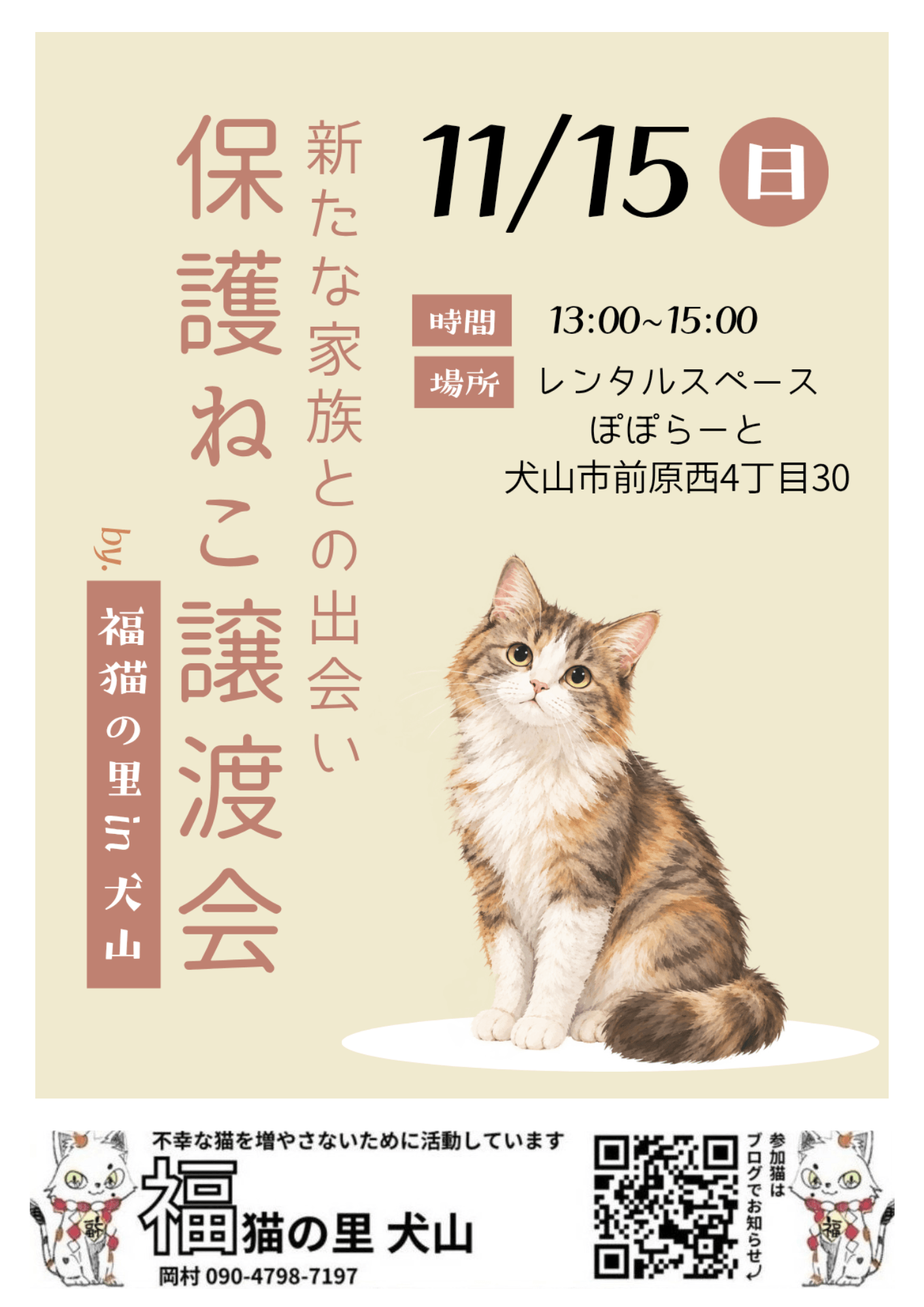保護ねこ譲渡会 in 犬山