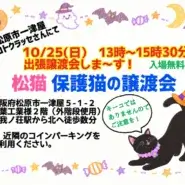 松猫さんの出張譲渡会♪
