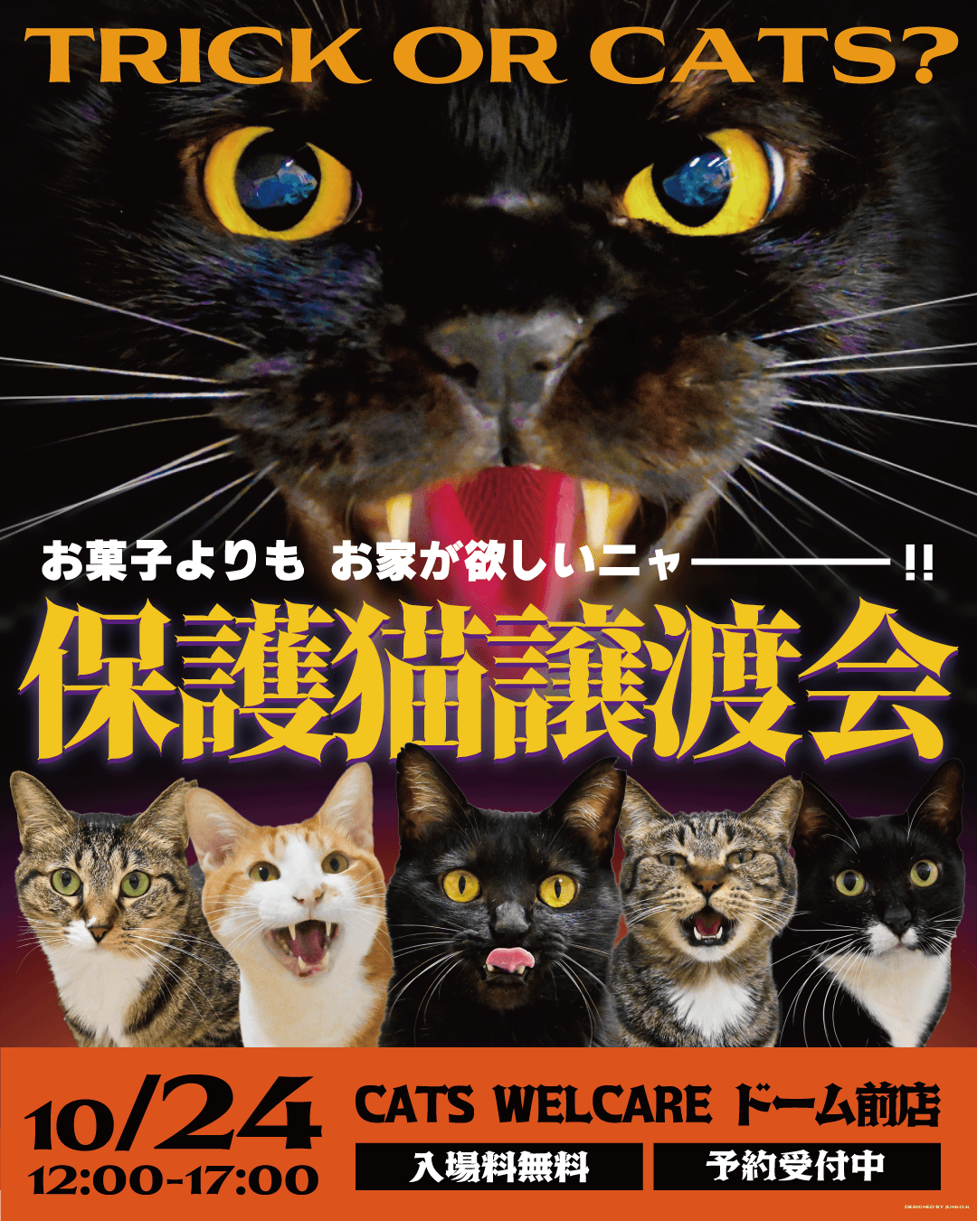 ドーム前保護猫譲渡会