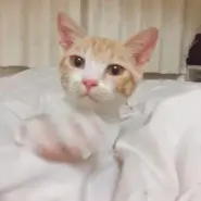 すくすく成長中!育ち盛りのチャチャちゃん(仮名)
