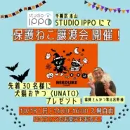 ★〓★〓★ねこの譲渡会★〓★〓★